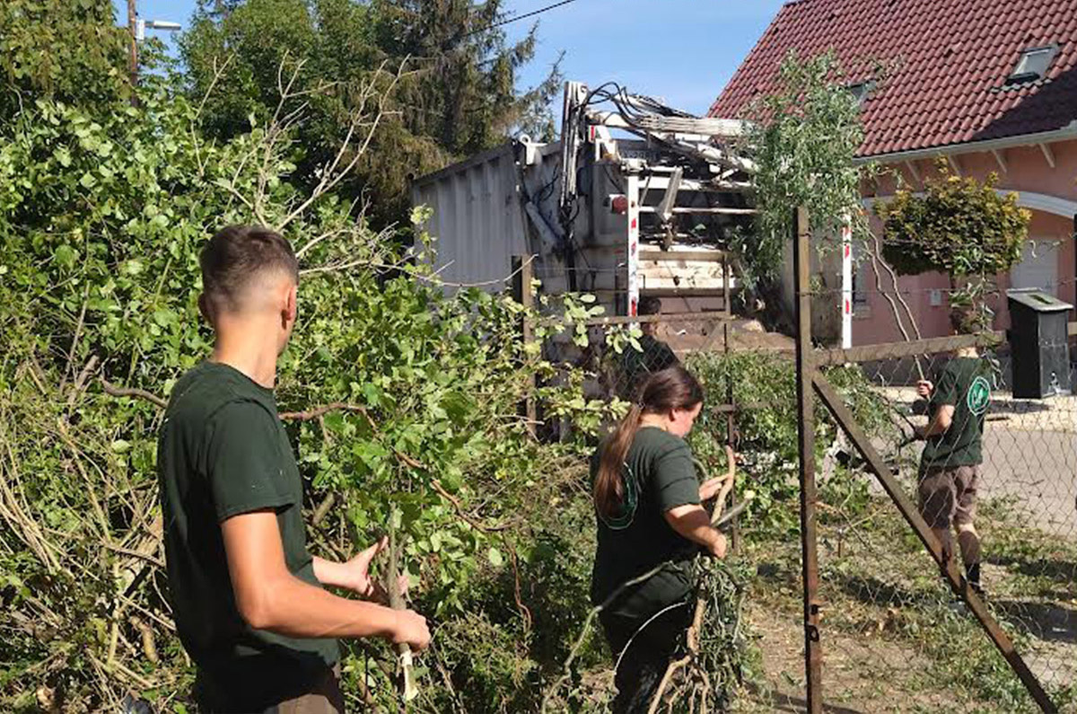 Az önkéntesek teljesen megtöltötték a Szegedi Környezetgazdálkodási Nonprofit Kft. hulladékszállító autóját zöldhulladékkal