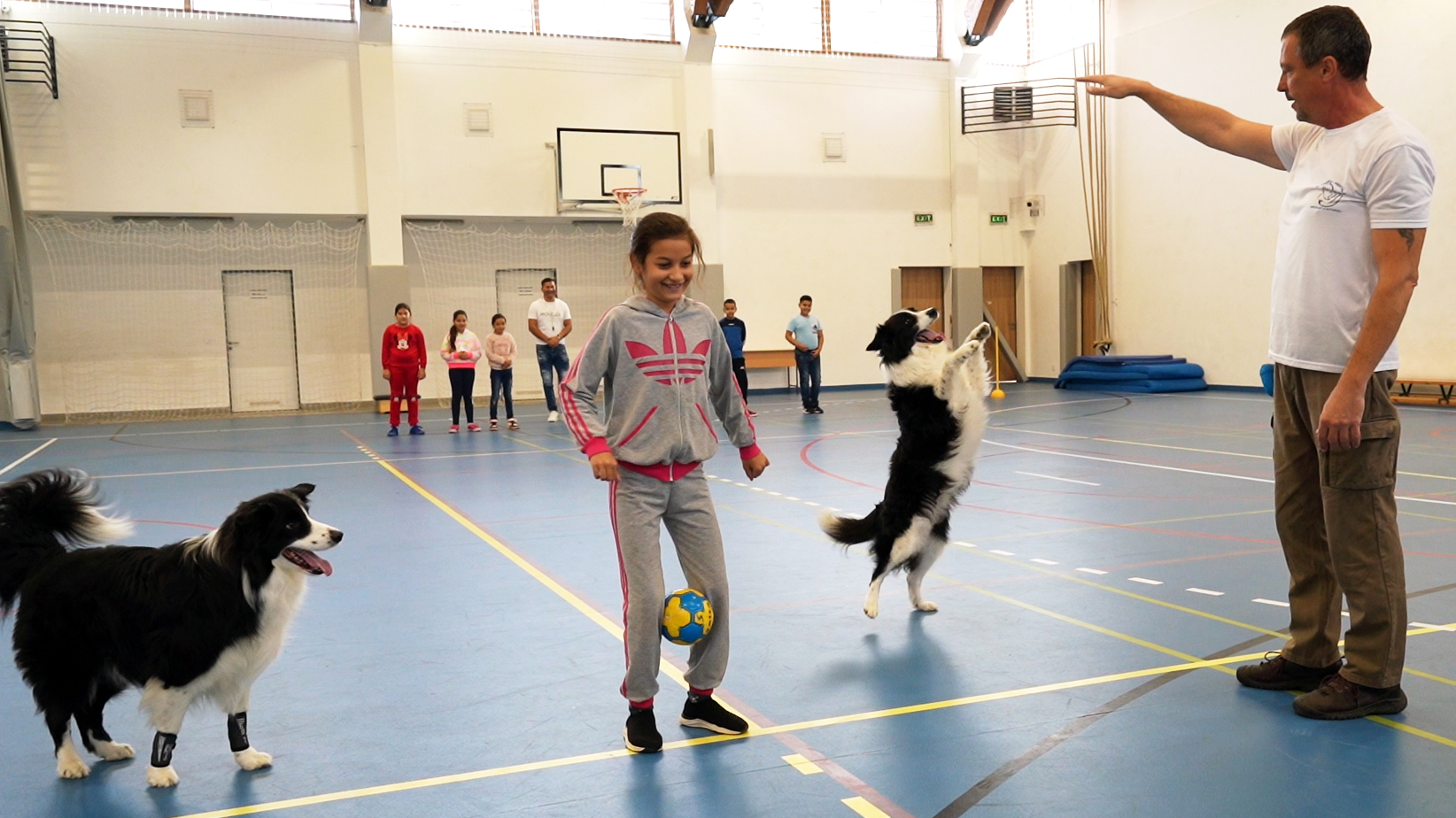 Labdás gyakorlat a két mentett terápiás kutya, Simi és Panda, valamint Vámos Zoltán jelenlétében