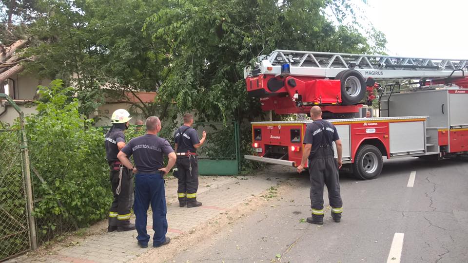 Mintegy 100 tűzoltó egy hétig dolgozott a kicsavart fák eltávolításán