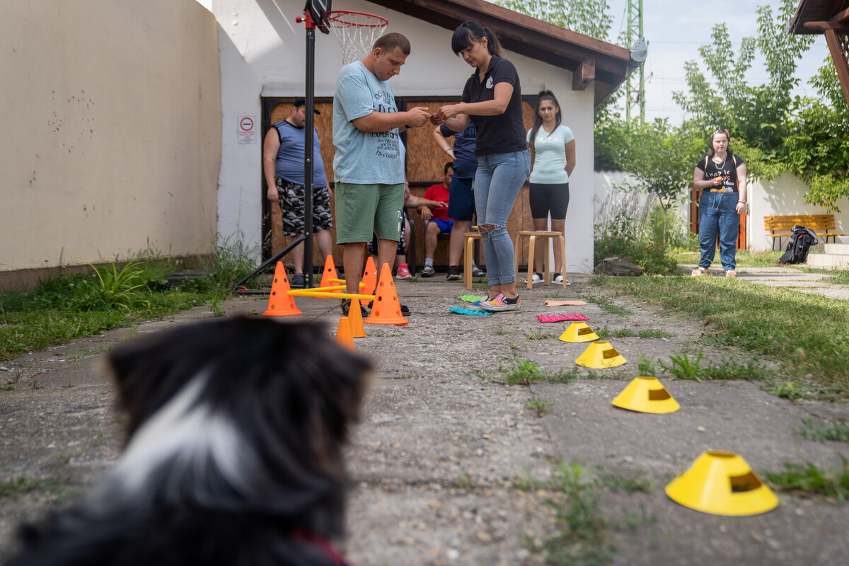 Nagyon meglepődött, hogy itt hozzászólnak – Egy nap a monori napköziben kutyás foglalkozással és egyedi activityvel 
